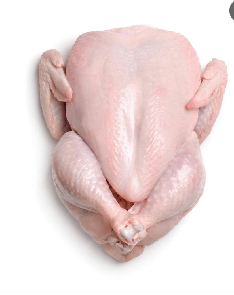 Chicken